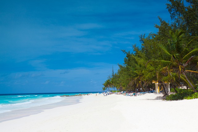 Barbados Bonanza: A Cheeky Guide to Island Adventure