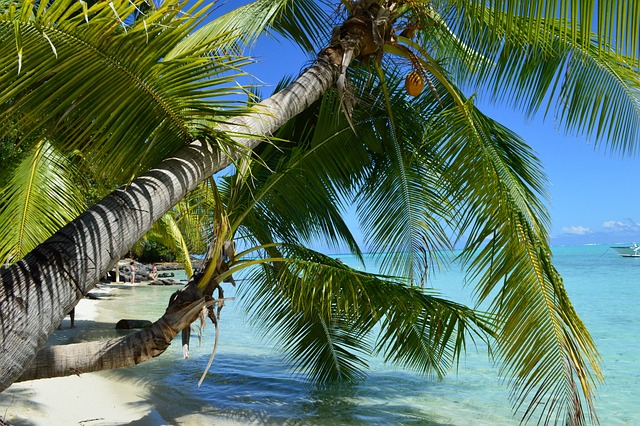 Bora Bora, French Polynesia: Your Slice of Paradise, Now with More Coconuts!
