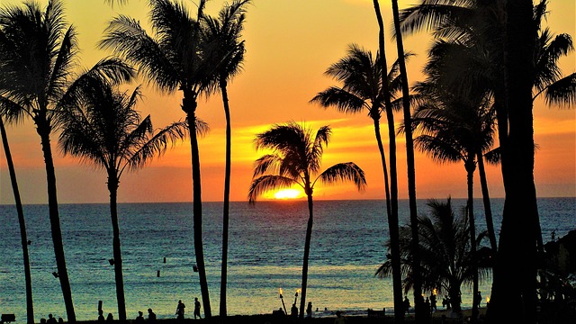 Maui, Hawaii: Where the Beaches Are Buzzin’ and the Volcanoes Simmer!